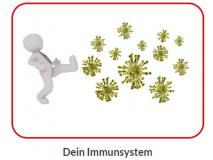 Mach Dich STARK für's Leben - Dein Immunsystem